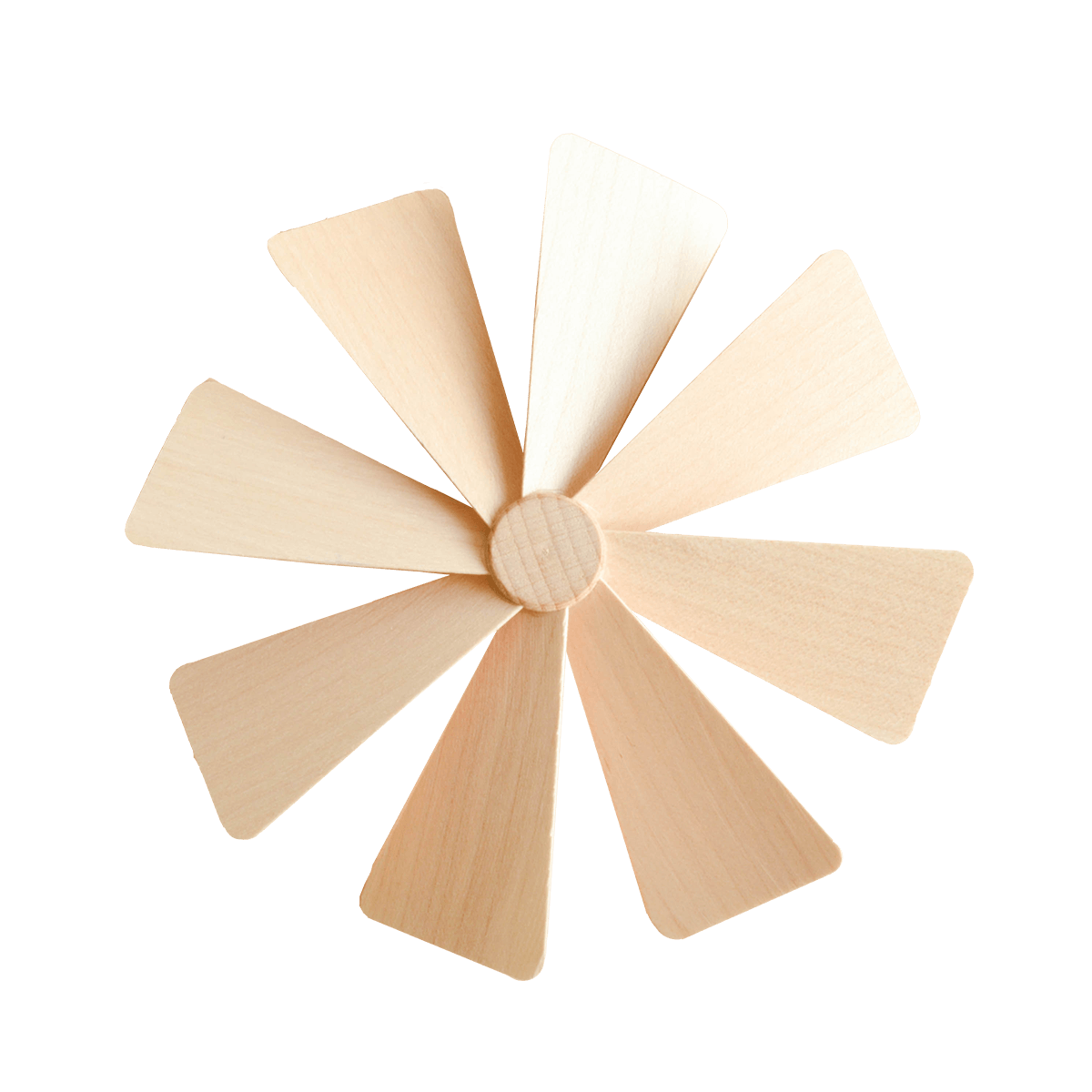 Pyramid Fan (Graupner) - Natural